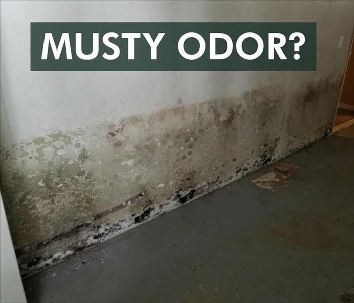 A wall with mold