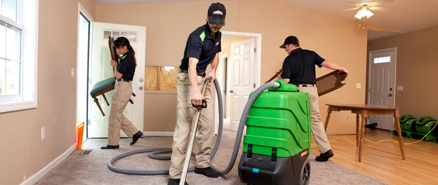 Whitemarsh, PA cleaning services